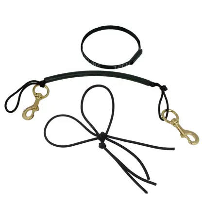 Stage kit de rigging para 10L & 11,1L, latón mosquetones inox 120 mm, bungee cord