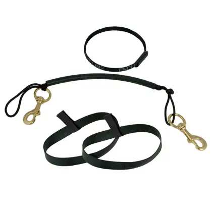 Stage kit de rigging para 5,7L, latón mosquetones inox 120 mm, goma bands