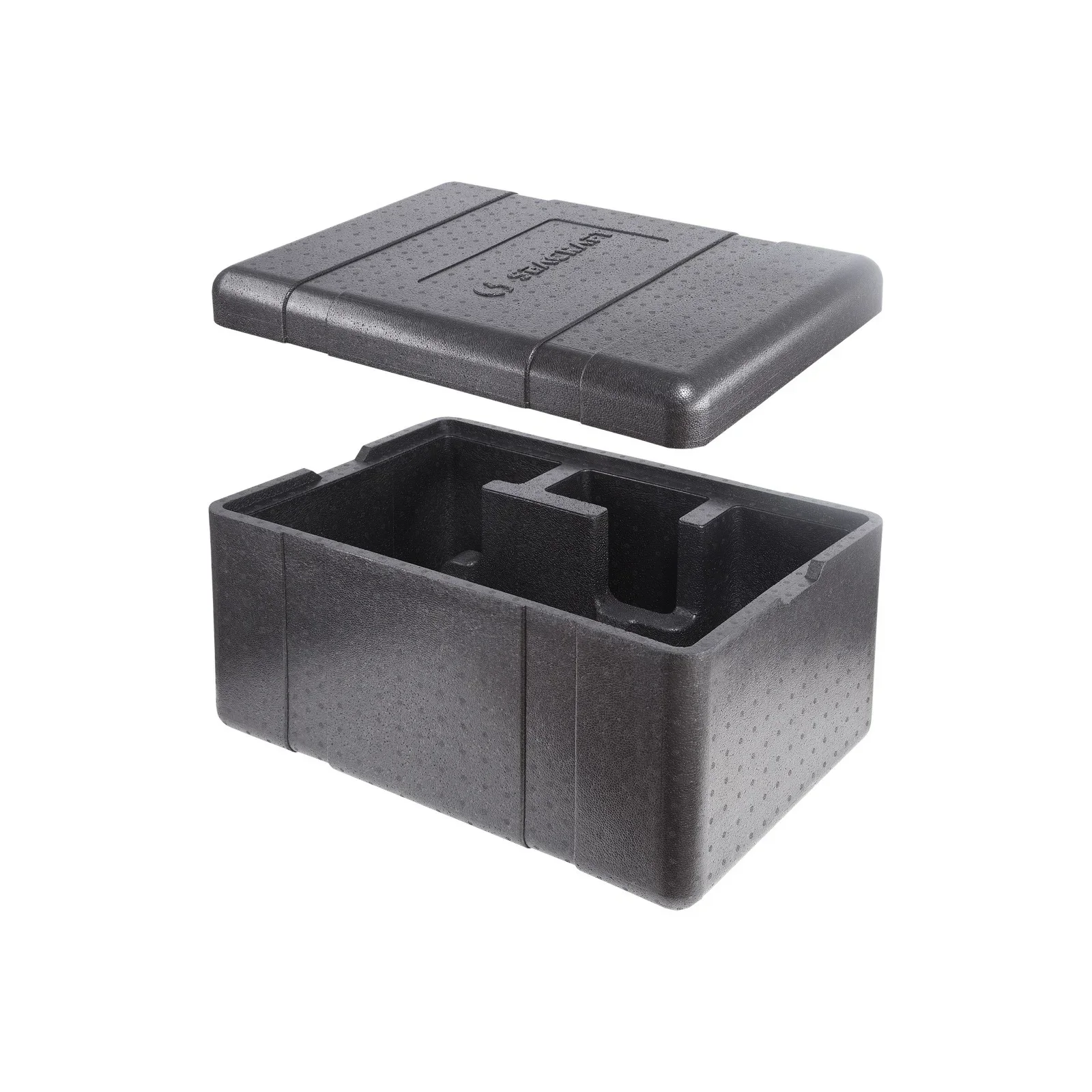 Rigid thermal insulated EPP transport container dedicated for GO! DPV